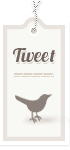 Premium Wordpress Themes - Twitter