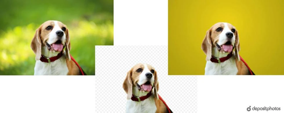 Online-Software, mit der man Fotohintergründe kostenlos ändern kann – Die 5 besten kostenlosen Apps, um