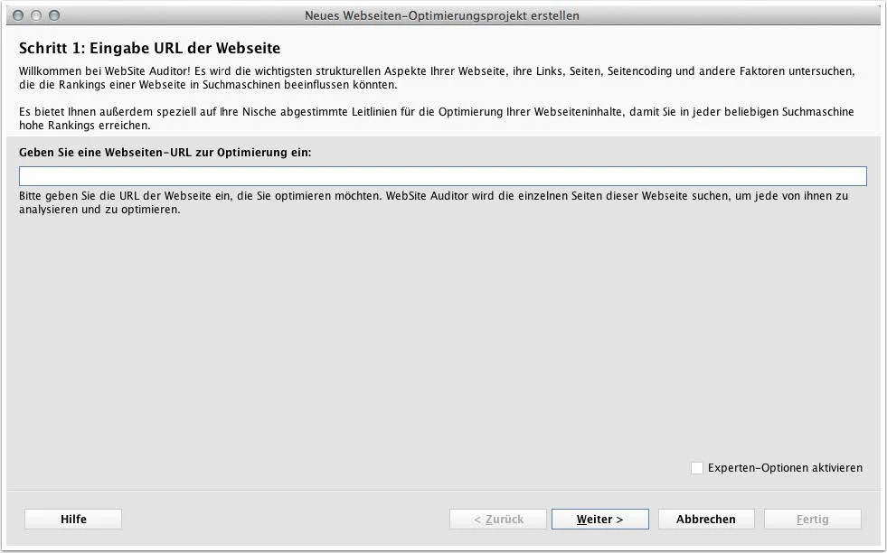 SEO Software: Website Auditor