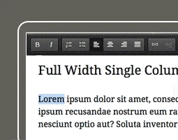 ThemeOptions_WPeasyInlineeditor