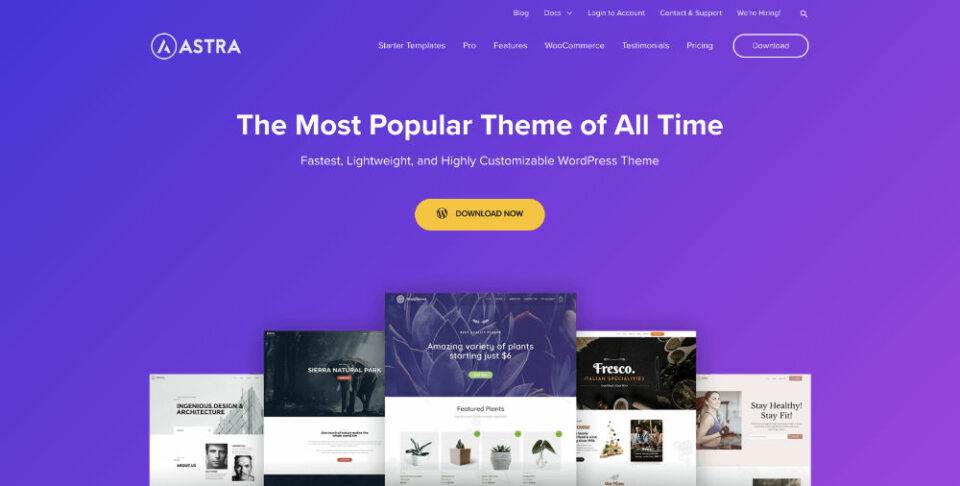 Review WooCommerce Themes Deutsch: Astra