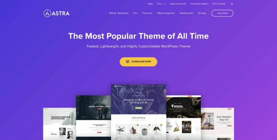 Astra WordPress Theme