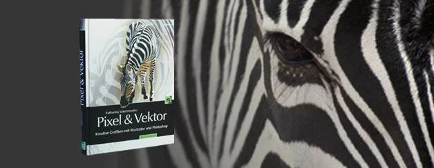 Pixel und Vektor: Kreative Grafiken mit Illustrator und Photoshop