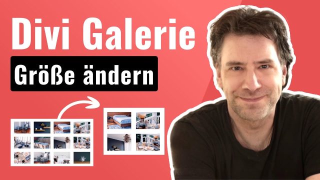 Divi Galerie anpassen: Größe ändern, Format ändern | EINFACH 1 Zeile Code.