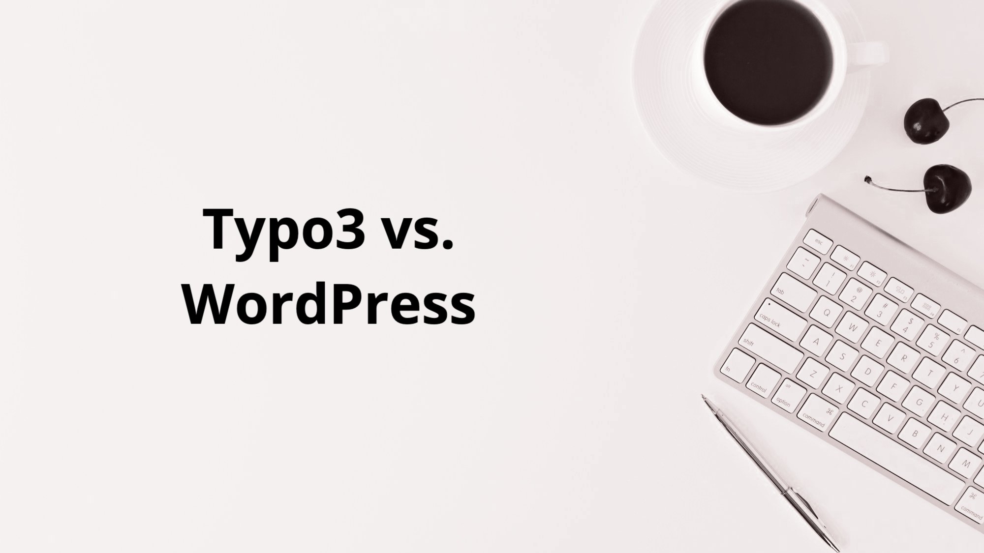 Typo3 vs WordPress - Was überzeugt in 2024? cover